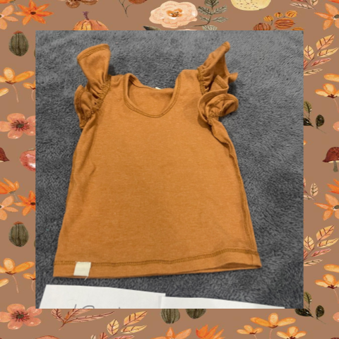 #69 REDUCED 12-18 Month "Rust" Flutter Tshirt