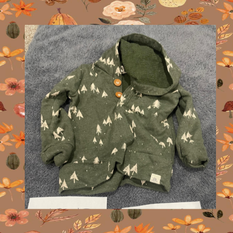 #69 REDUCED 12-18 Month Green Pinetree Hoodie