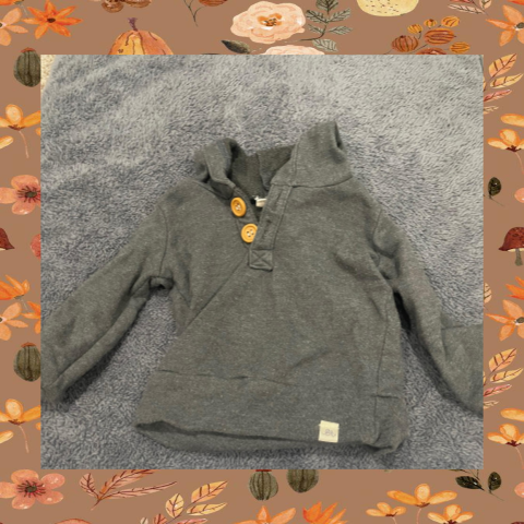 #69 REDUCED 6-12 Month Gray Hoodie