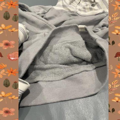 #54 Gray Sweatshirt Set 3T