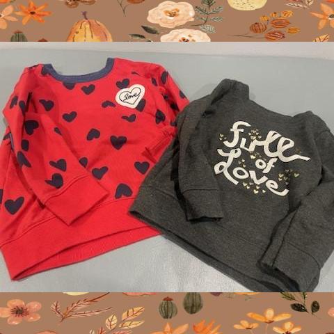 #54 Love Sweatshirts 2T