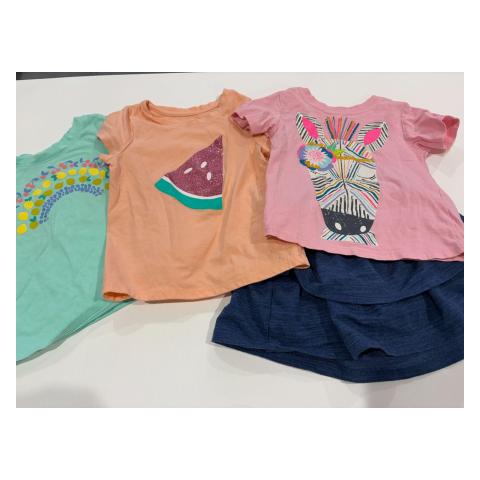 #103 Mix Brands Shirts and Shorts Girls 2T