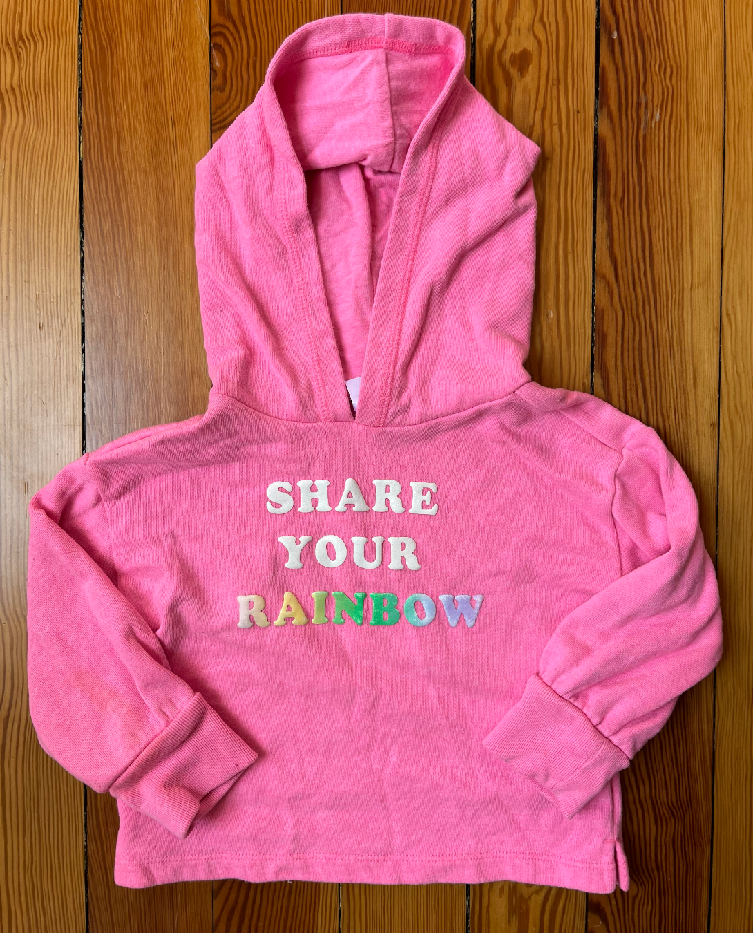 Baby Gap Pink Hooded "Share Your Rainbow" Sweatshirt - Size 3T - GUC