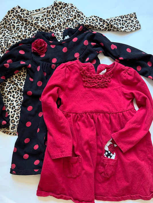 Seller #165 Girls 2T Long Sleeve Dress Bundle