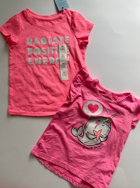 Seller #165 Girls 2T Summer Shirt Bundle - NWT