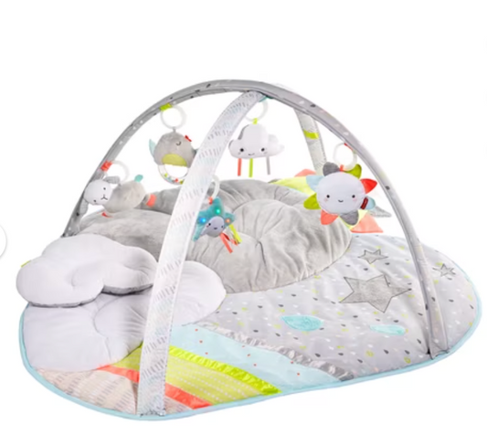 Seller #196 Skip Hop Baby Activity Play Gym