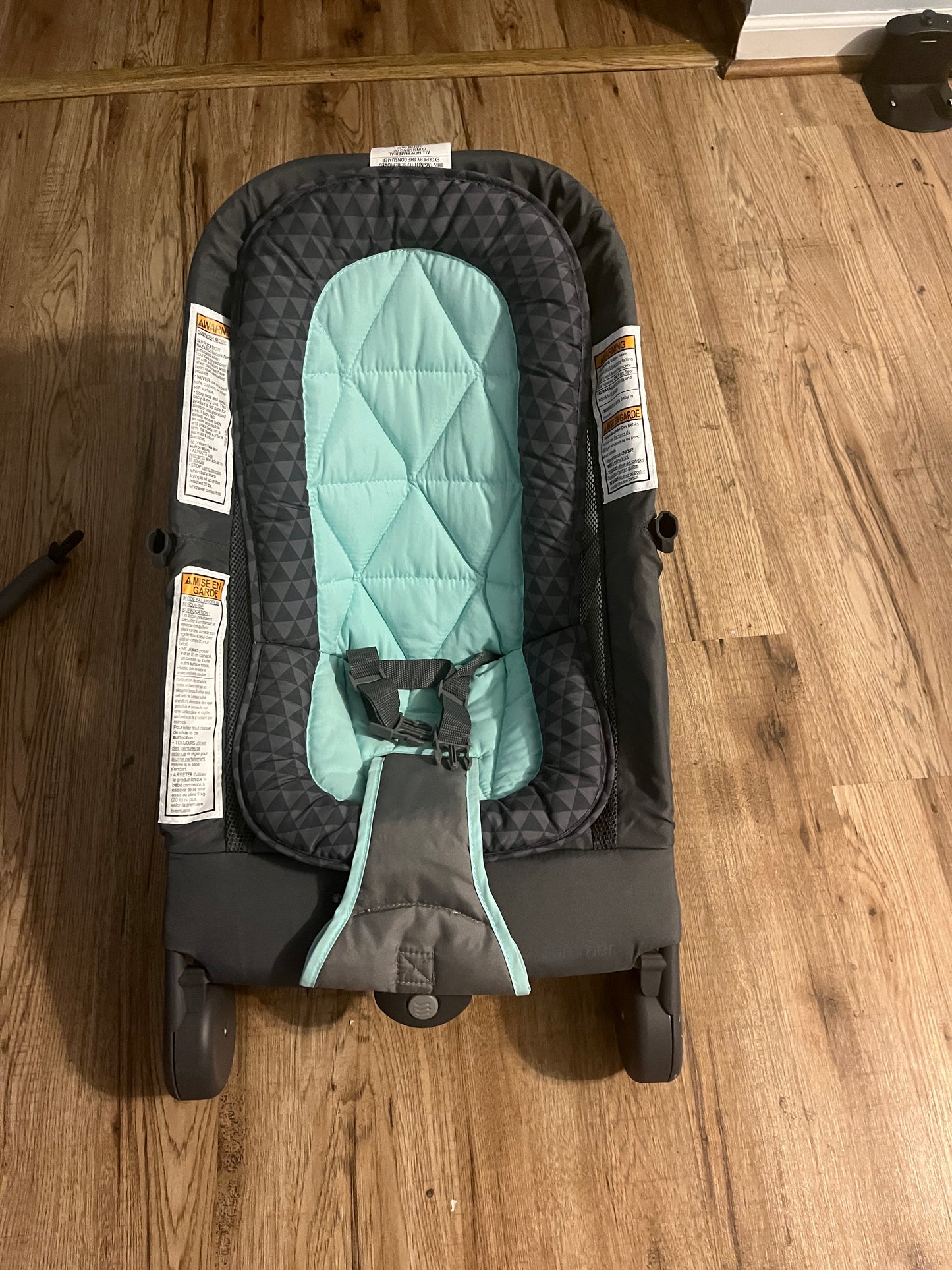 75A Ingenuity Summer 2-1 Baby Bouncer and Rocker EUC