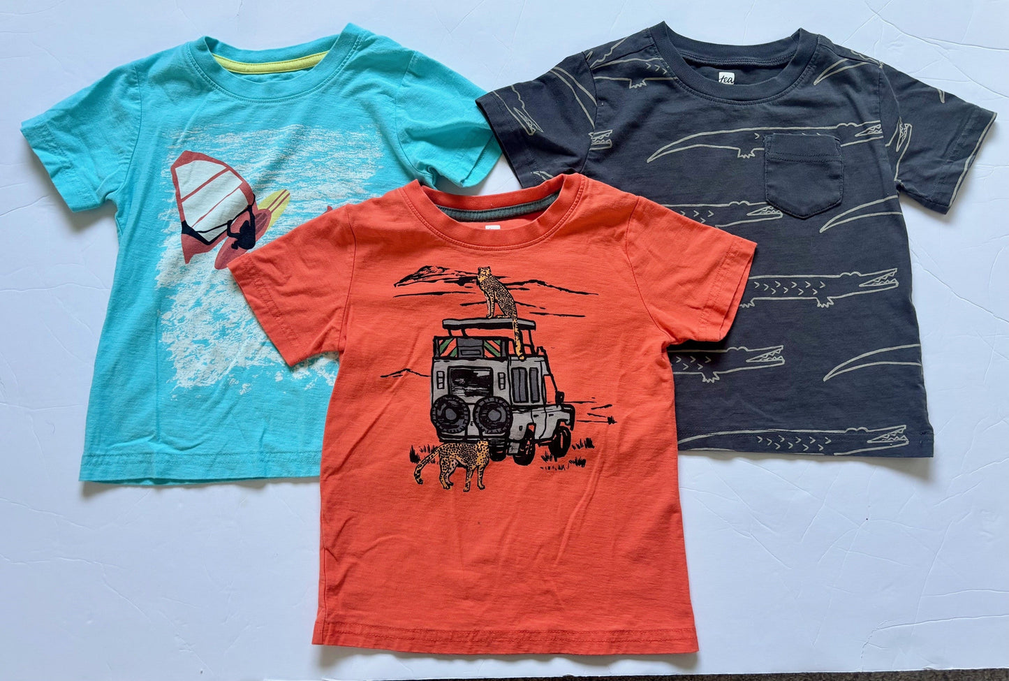 #43 Tea Collection Tees Boys 3T EUC-GUC