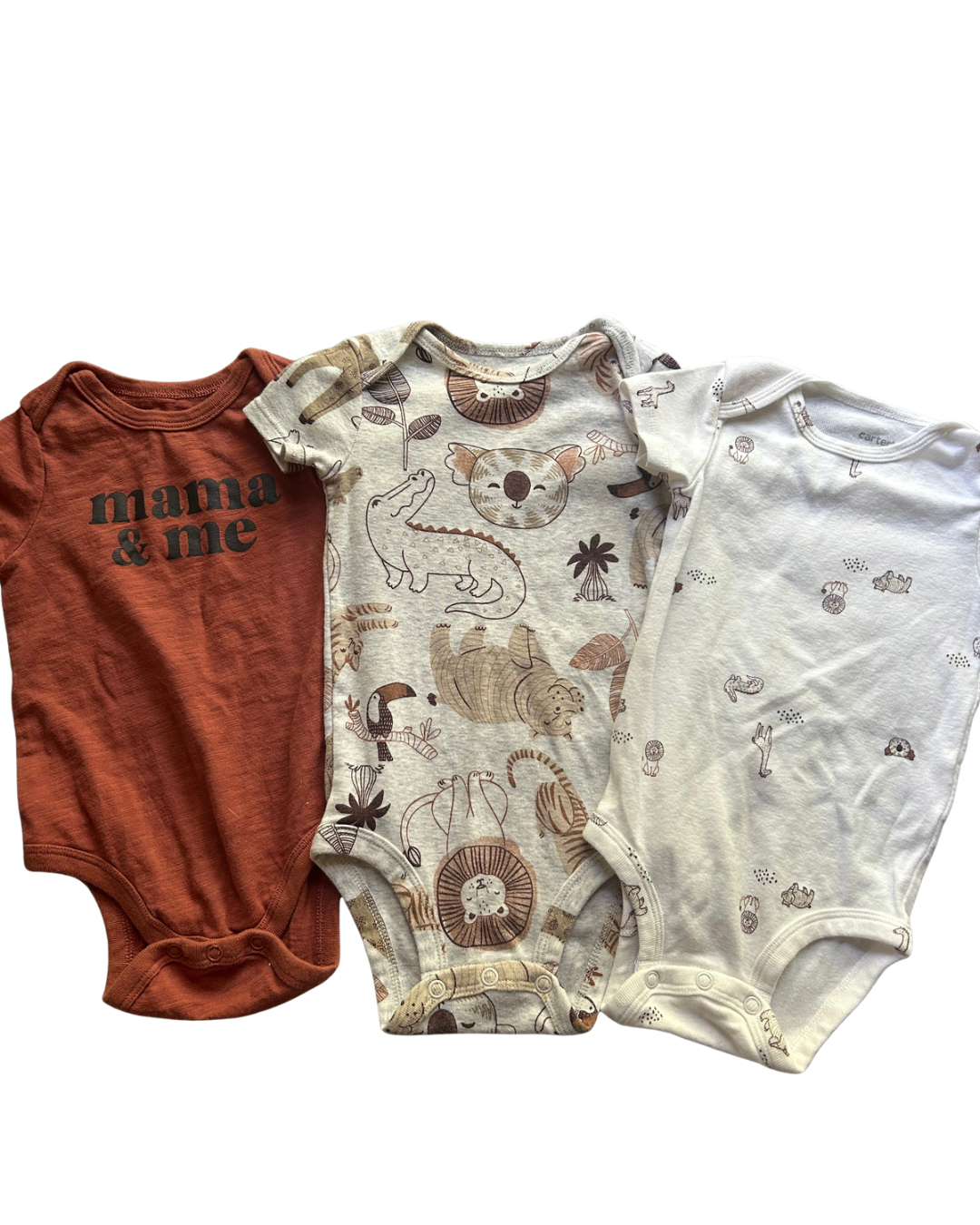 Seller #134 Mixed Brand Onesie Bundle Boys 9 Months