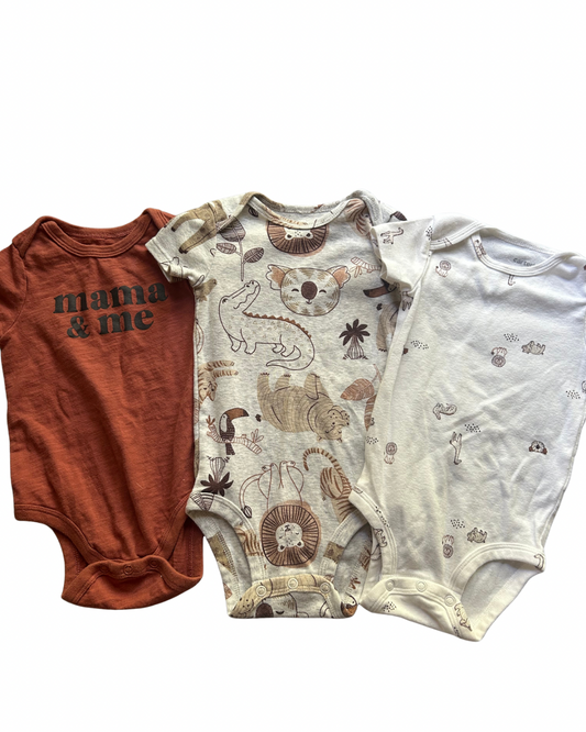 Seller #134 Mixed Brand Onesie Bundle Boys 9 Months