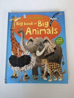Usborne Big Book of Big Animals, Like New