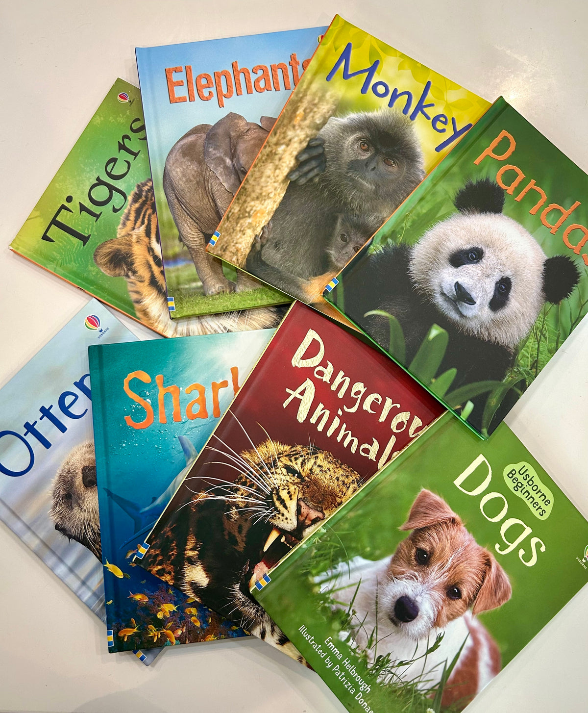 #32 Set of 8 Usbourne Animal Books