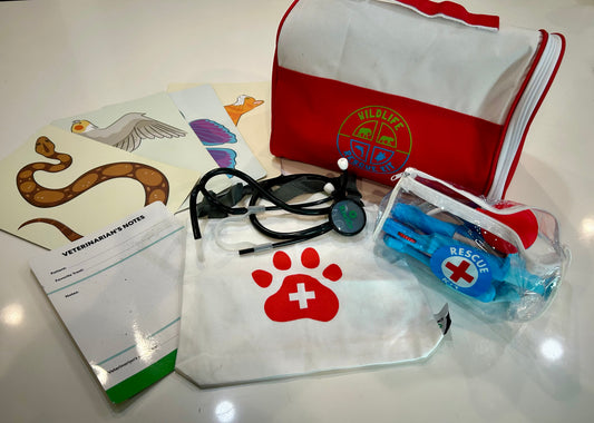 #32 Veterinarian Play Set